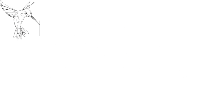Hummingbird Community Solar Project Logo