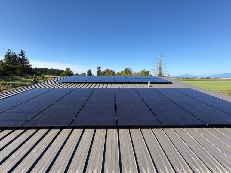 Bauermeister, David (2)